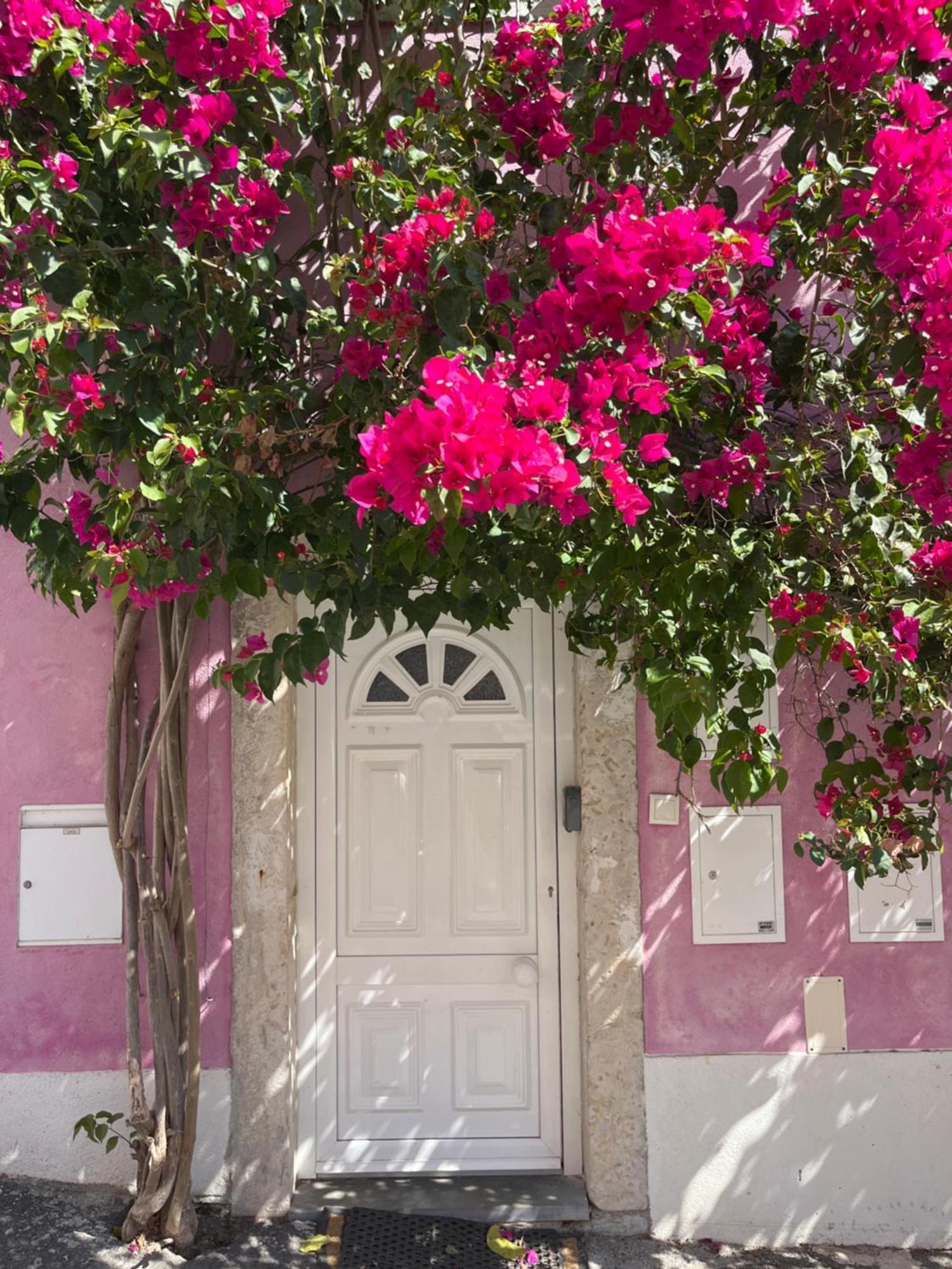 דירות ליסבון Casa Cor De Rosa מראה חיצוני תמונה