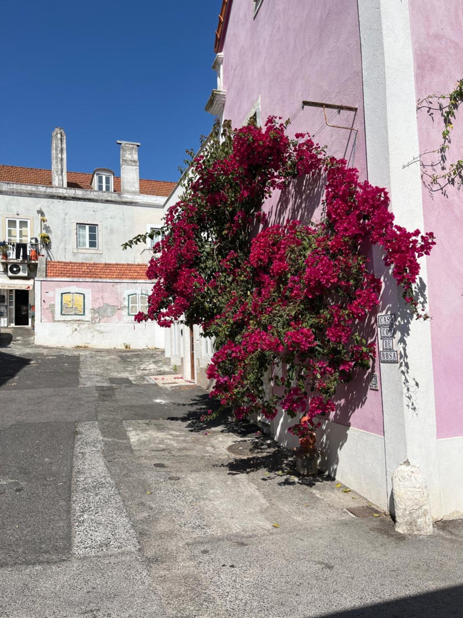 דירות ליסבון Casa Cor De Rosa מראה חיצוני תמונה