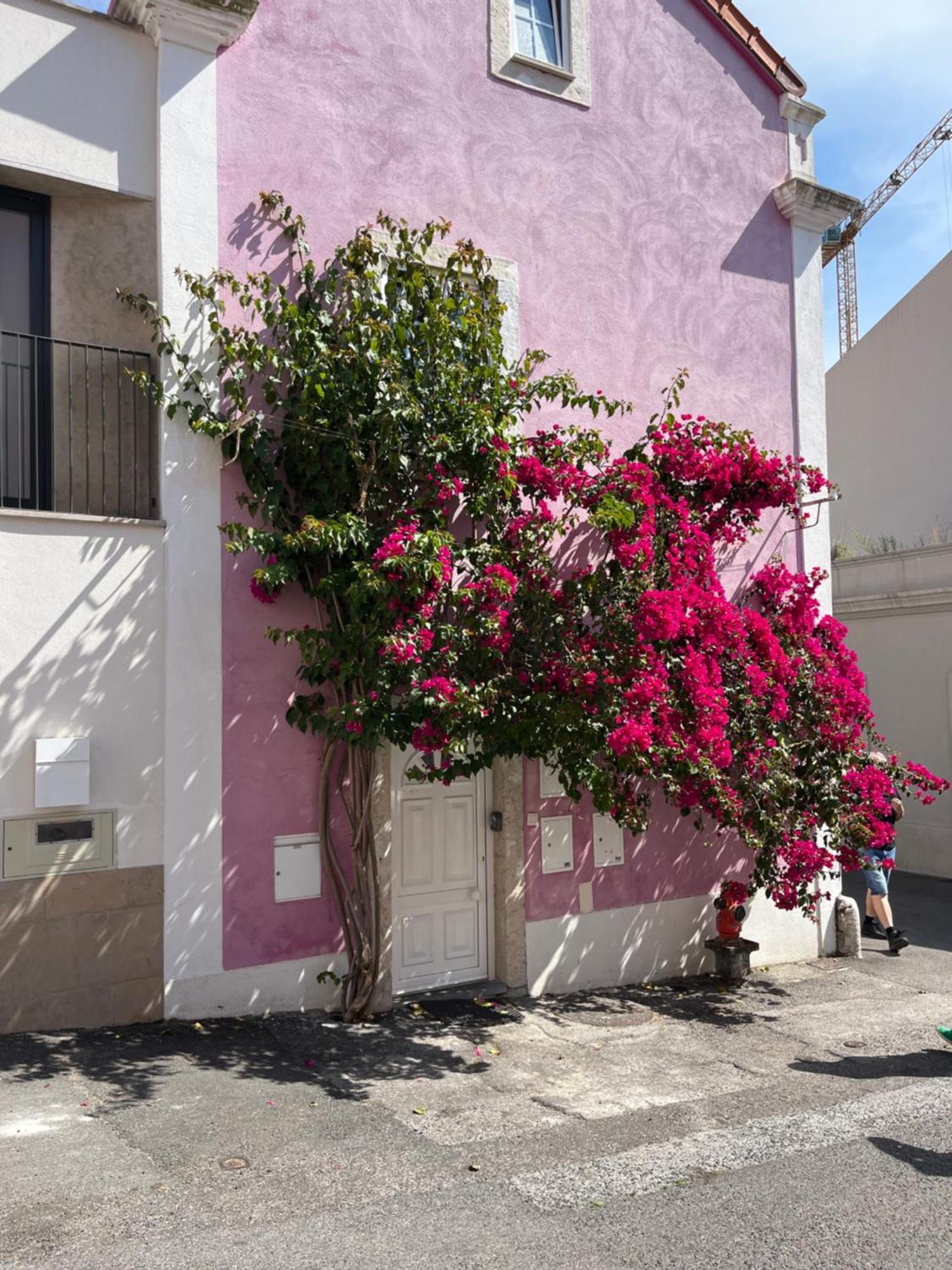 דירות ליסבון Casa Cor De Rosa מראה חיצוני תמונה